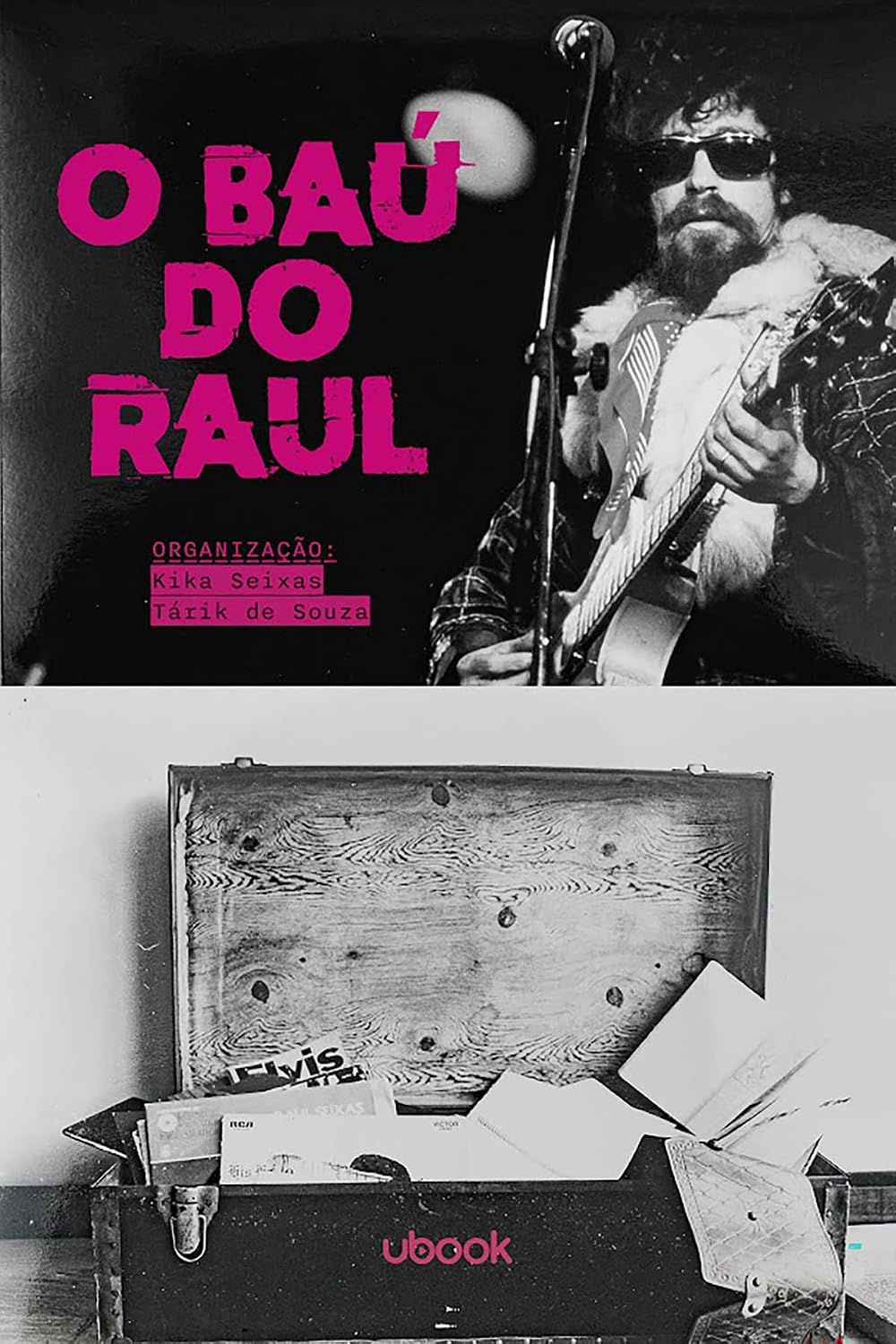 capítulo por capítulo baixar O baú do Raul