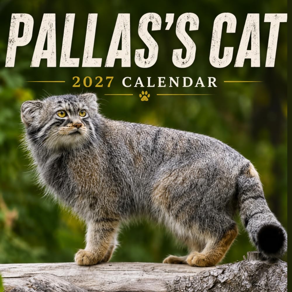 Pallas's Cat Calendar 2027: Wild Cat Photography baixar o livro de graça