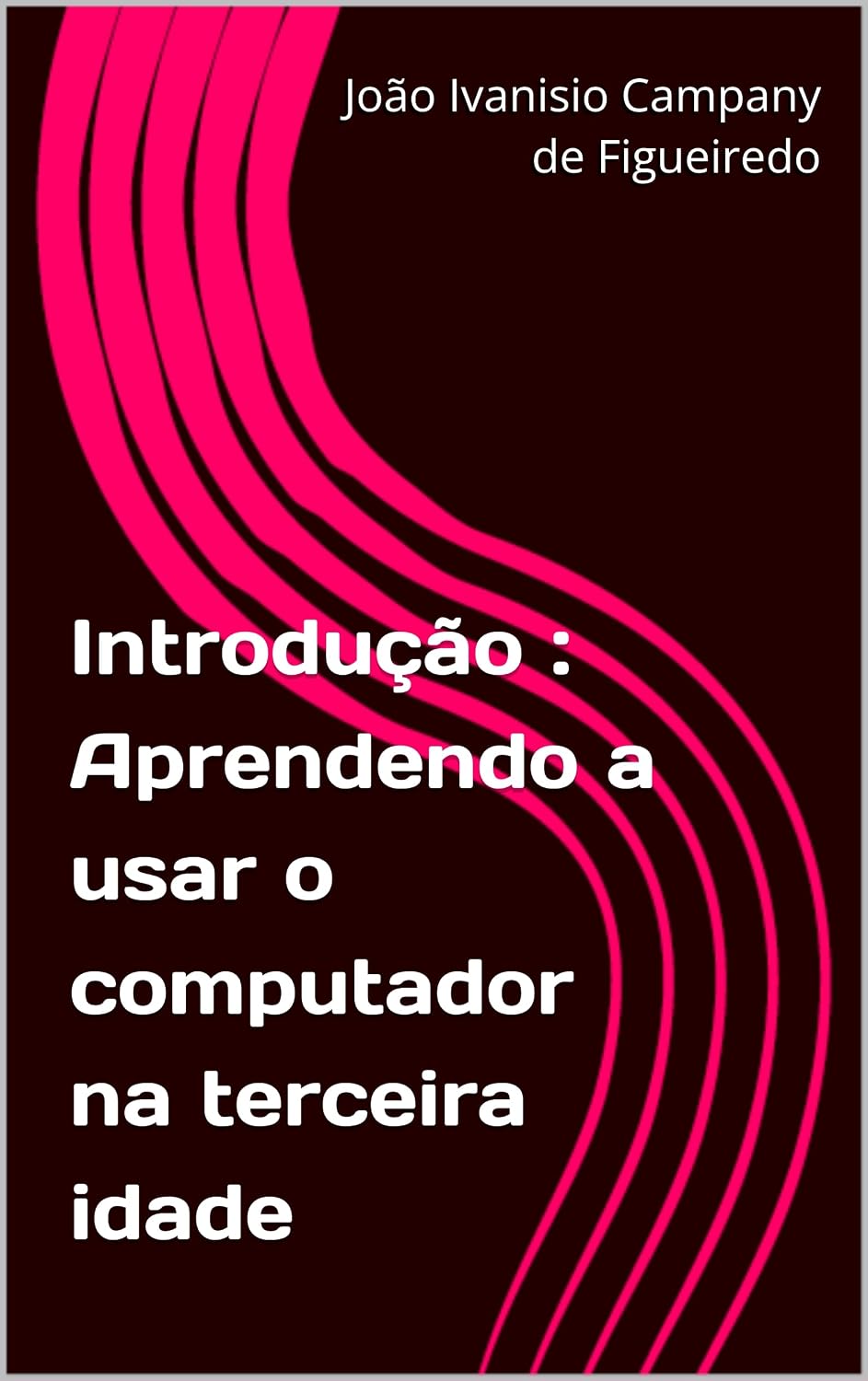 Introdução: Aprendendo a usar o computador na terceira idade baixar o livro de graça