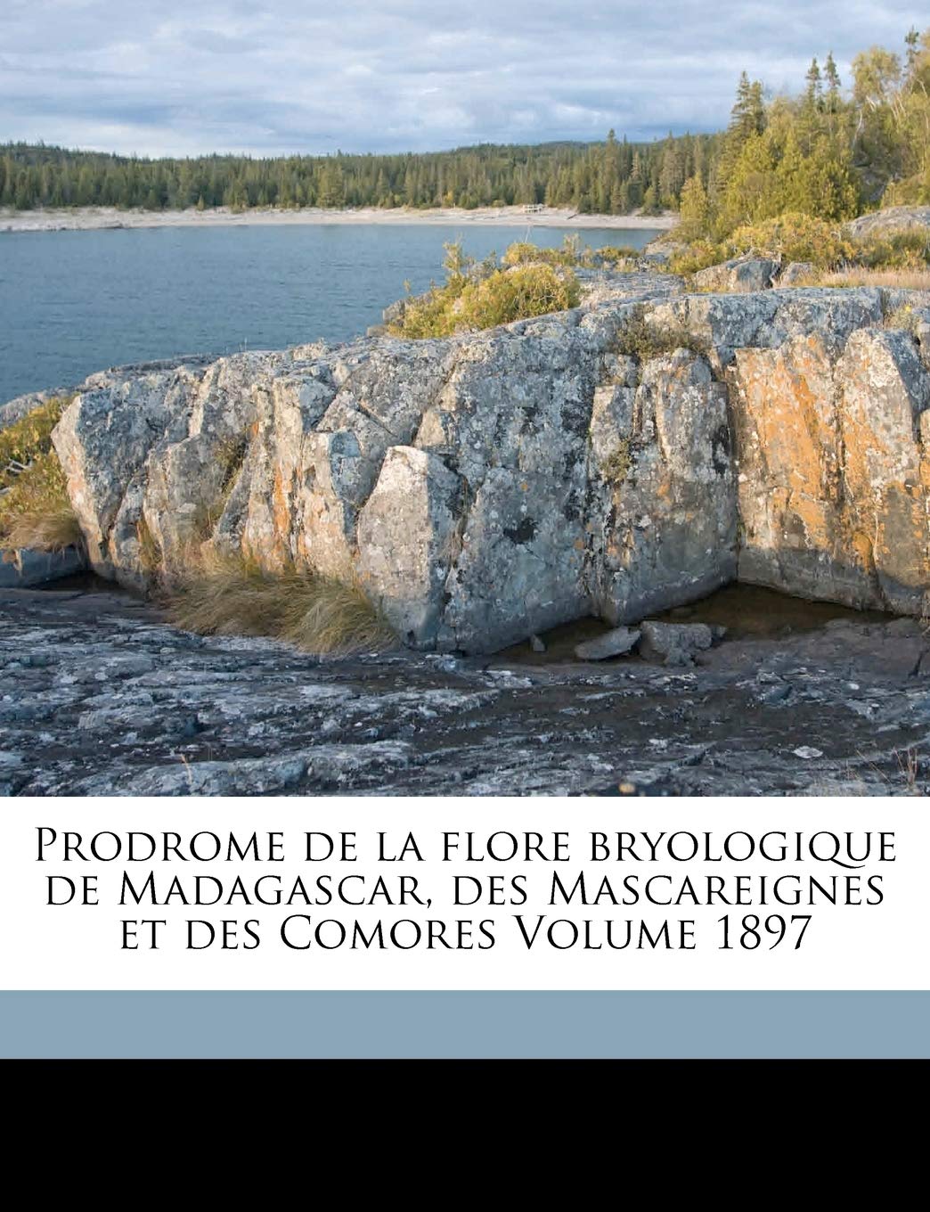 Prodrome de la Flore Bryologique de Madagascar, Des Mascareignes Et Des Comores Volume 1897 baixar o livro de graça