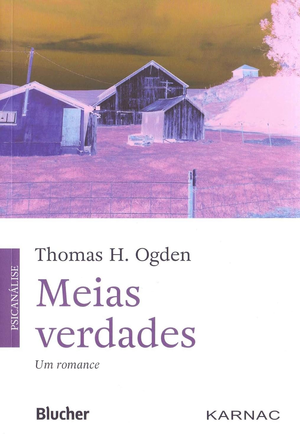 Meias Verdades: um Romance baixar livro de graça