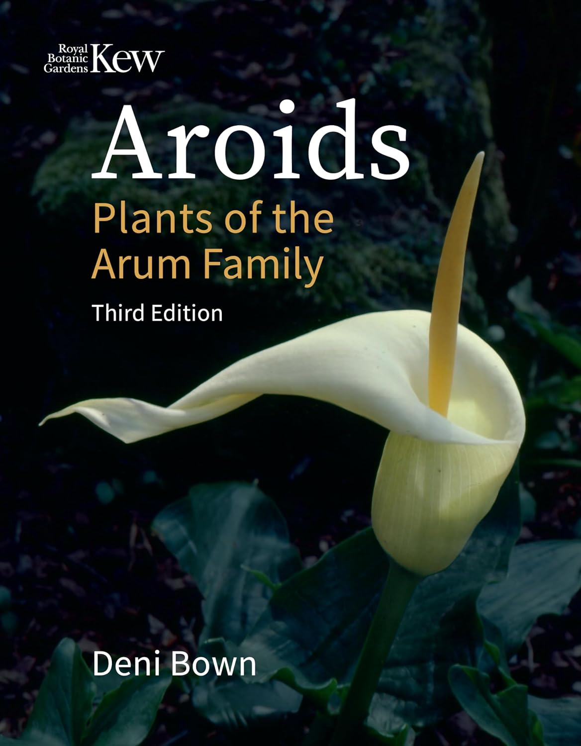 Aroids: Plants of the Arum Family, Third Edition baixar o livro de graça