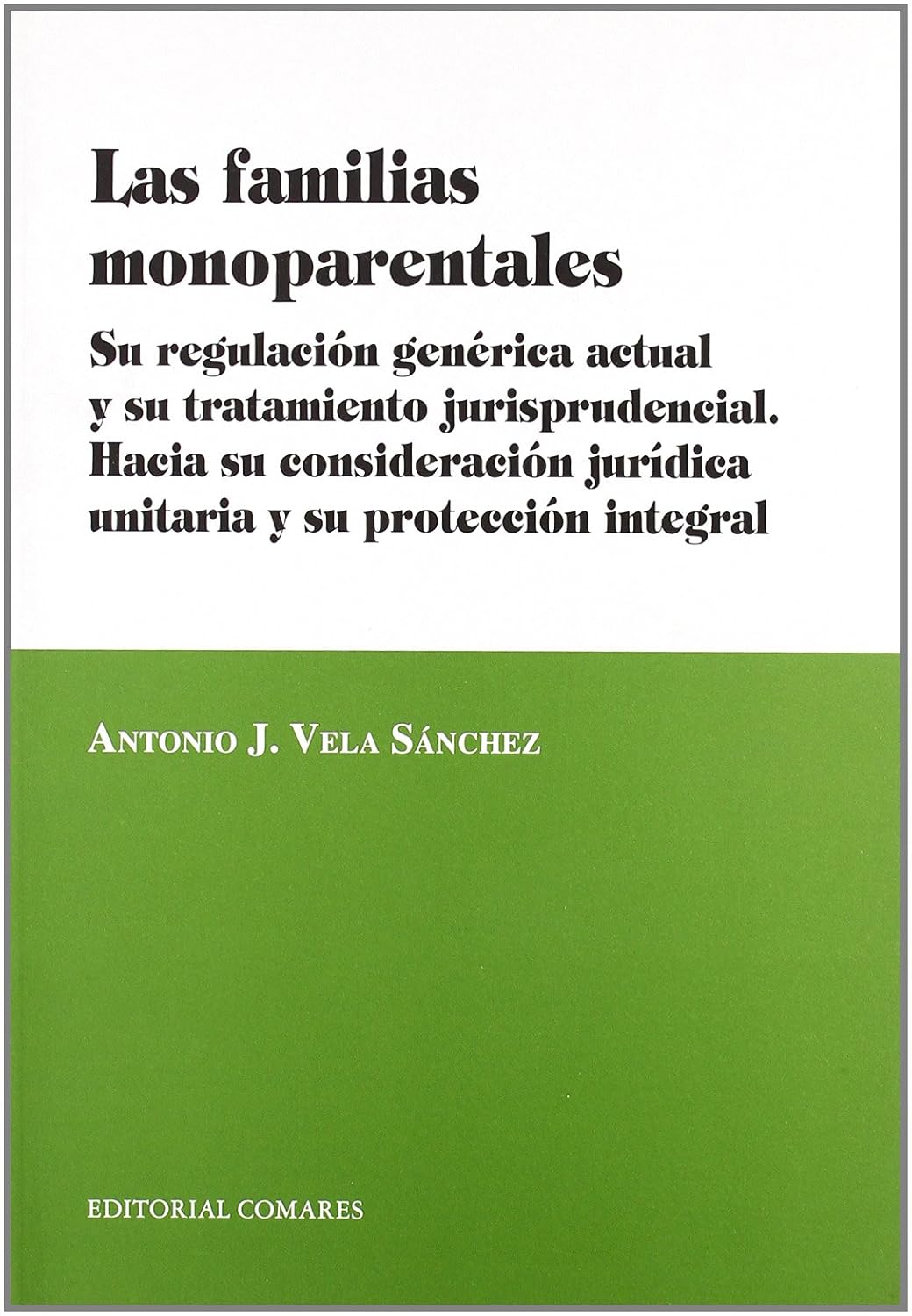 Las familias monoparentales: su regulación genérica actual y su tratamiento jurisprudencial: hacia su consideración jurídica unitaria y su protección integral baixar o livro de graça