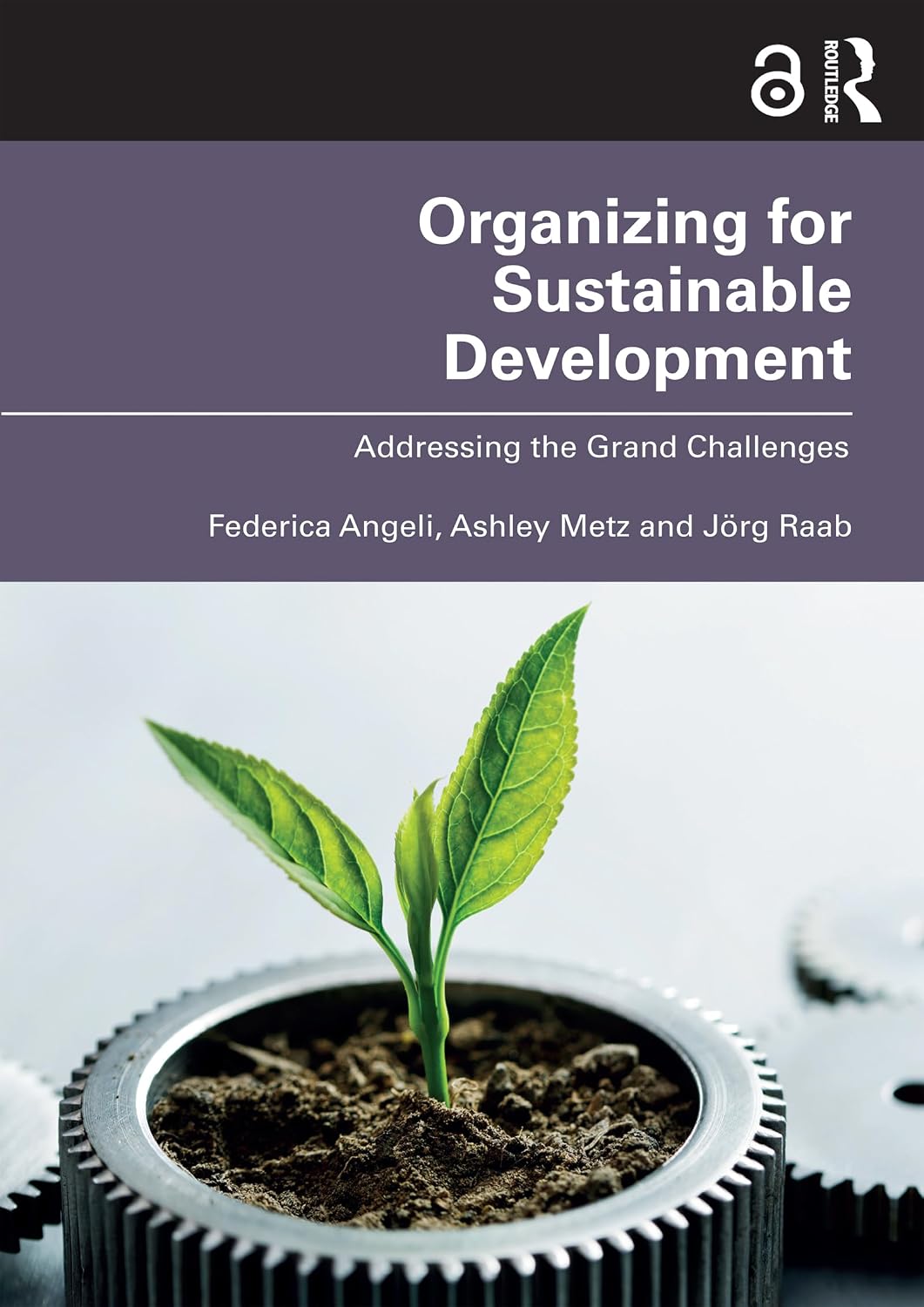 ler totalmente Organizing for Sustainable Development: Addressing the Grand Challenges (English Edition)