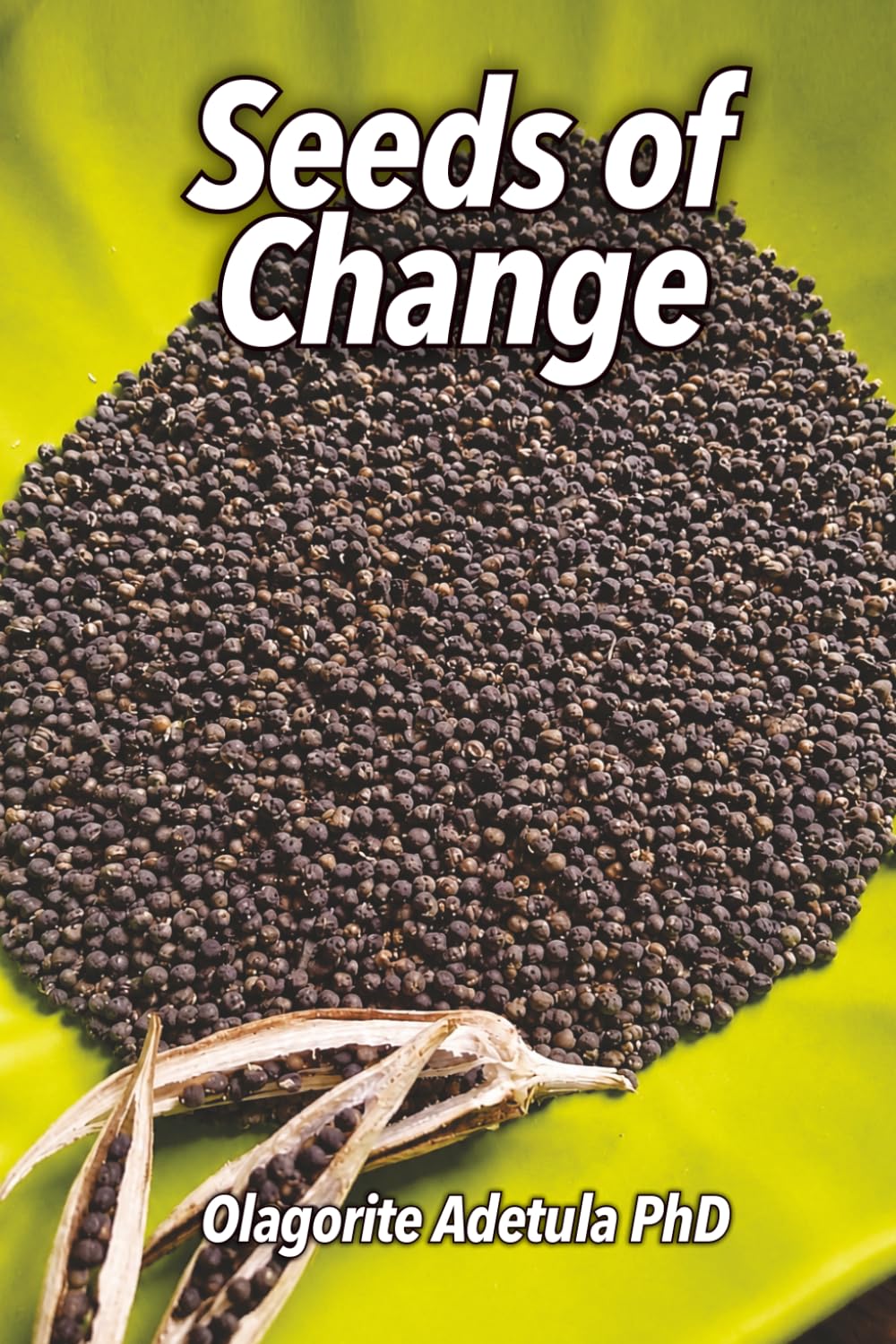 Seeds of Change: Transforming African Agriculture: Seeds of Hope and Innovation baixar o livro de graça