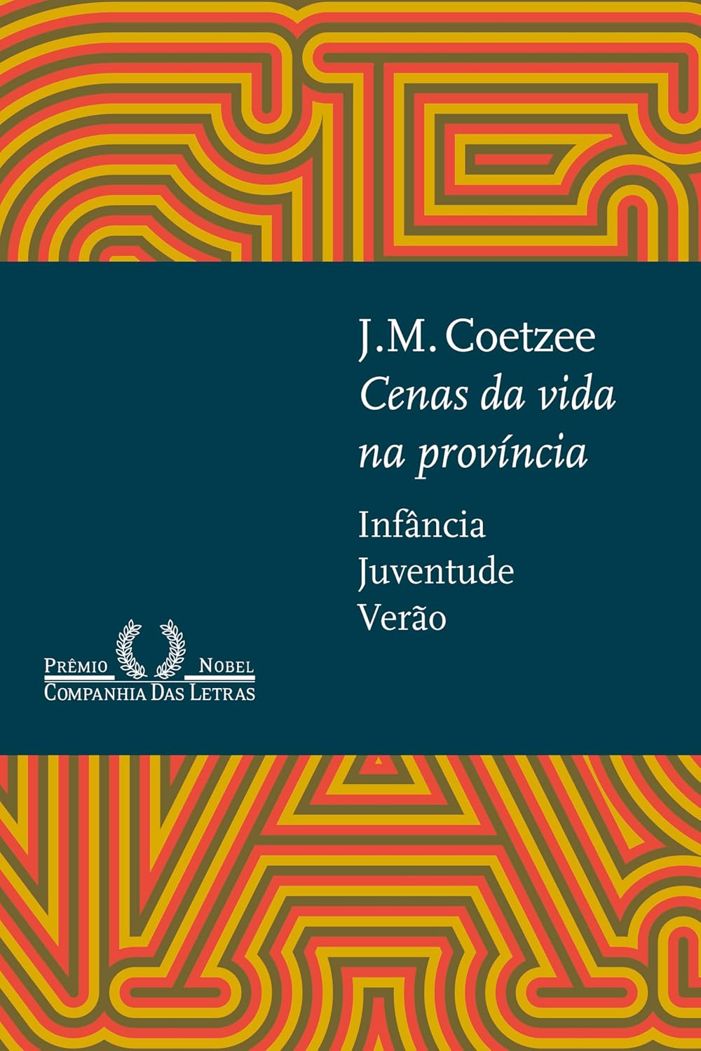 capítulo por capítulo baixar Cenas da vida na província: Infância, Juventude, Verão