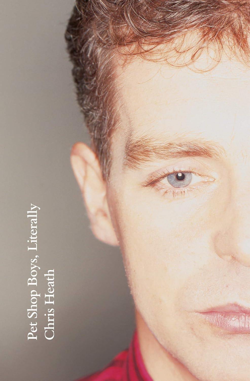 Pet Shop Boys, Literally baixar o livro de graça