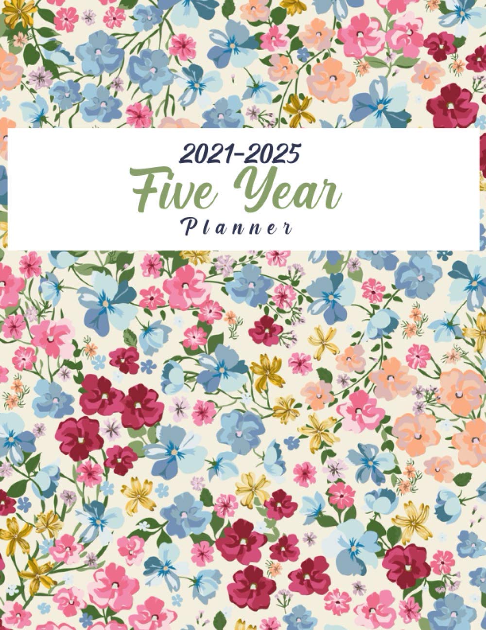 2021-2025 5-Year Monthly Planner: 2021-2025 Monthly Five Year Planner, Personal Agenda Schedule Organizer & Appointment Notebook baixar o livro de graça