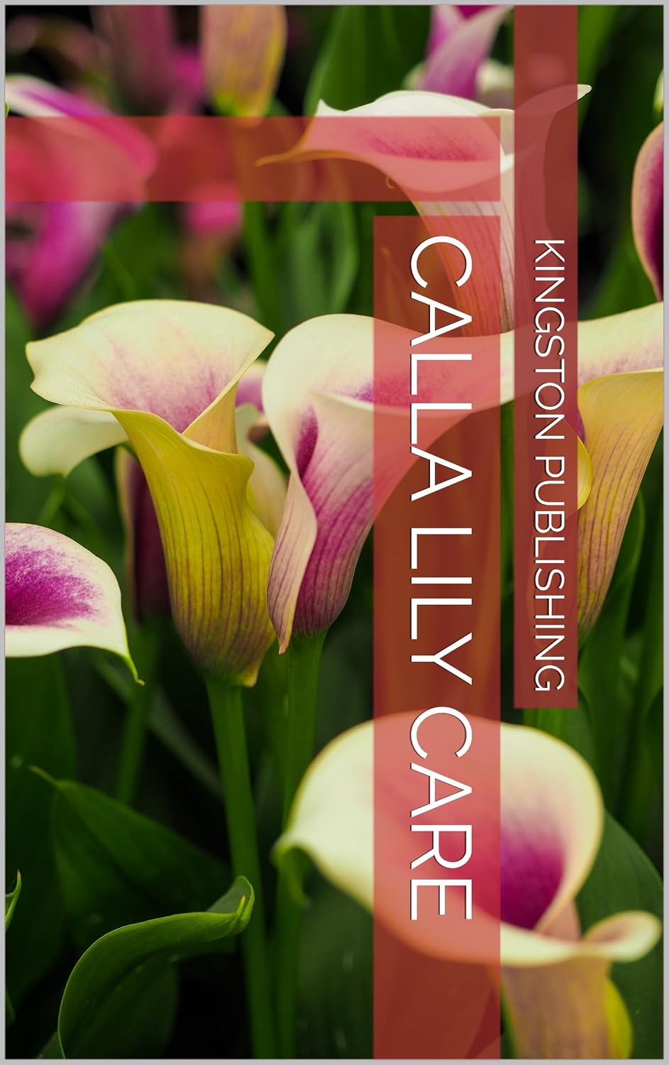 ler totalmente Calla Lily Care (Patio Gardening) (English Edition)