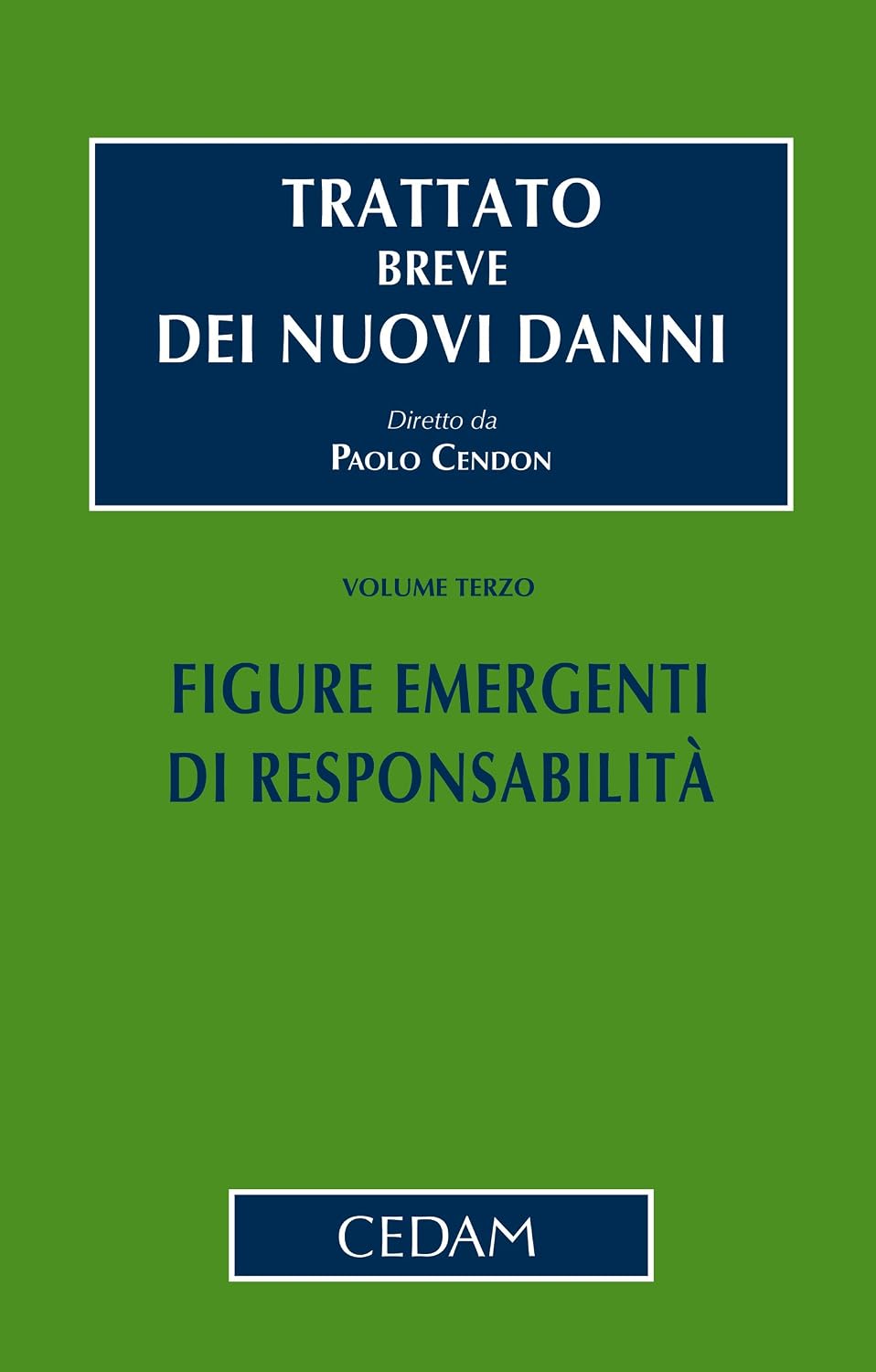 Trattato breve dei nuovi danni - Vol. III: Figure emergenti di responsabilità (Italian Edition) baixar o livro de graça
