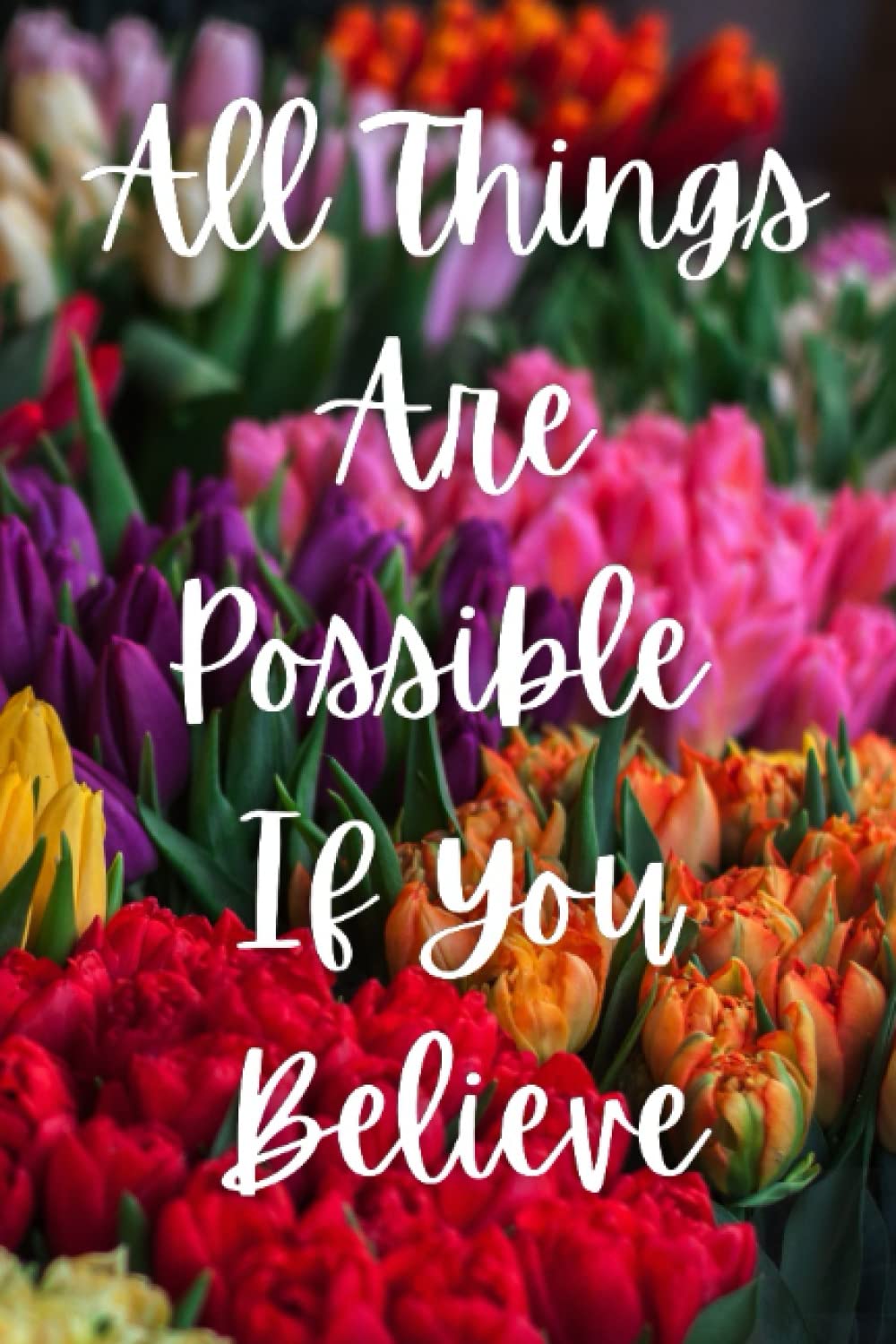 All Things Are Possible If You Believe: Personal Internet and Password Keeper, Password Log Book, Username/Login, Web Addresses, Email, and Many... Home, Office, etc.....(Alphabetically Sorted) baixar o livro de graça