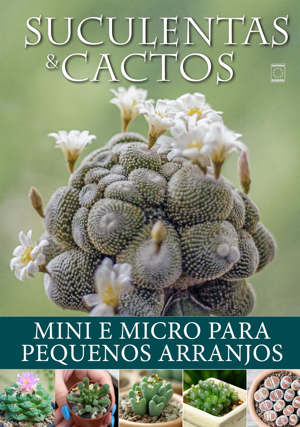 Suculentas e Cactos: Mini e Micro para Pequenos Arranjos baixar o livro de graça