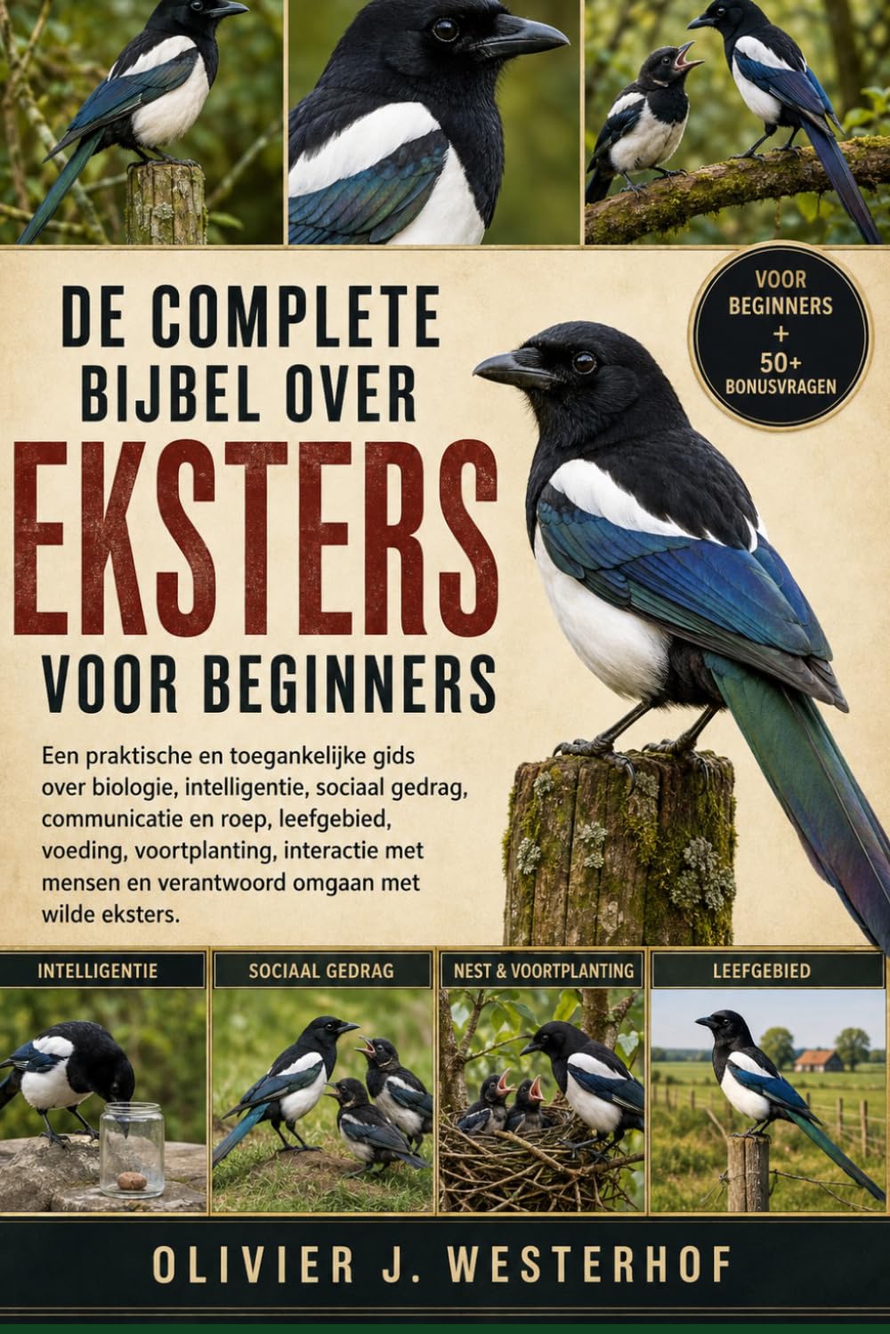 capítulo por capítulo baixar de Complete Bijbel Over Eksters Voor Beginners: Een praktische en toegankelijke gids over biologie, intelligentie....interactie met mensen en verantwoord omgaan met wilde eksters.