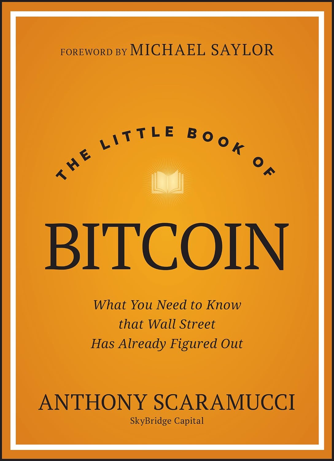 ler totalmente The Little Book of Bitcoin: What You Need to Know That Wall Street Has Already Figured Out