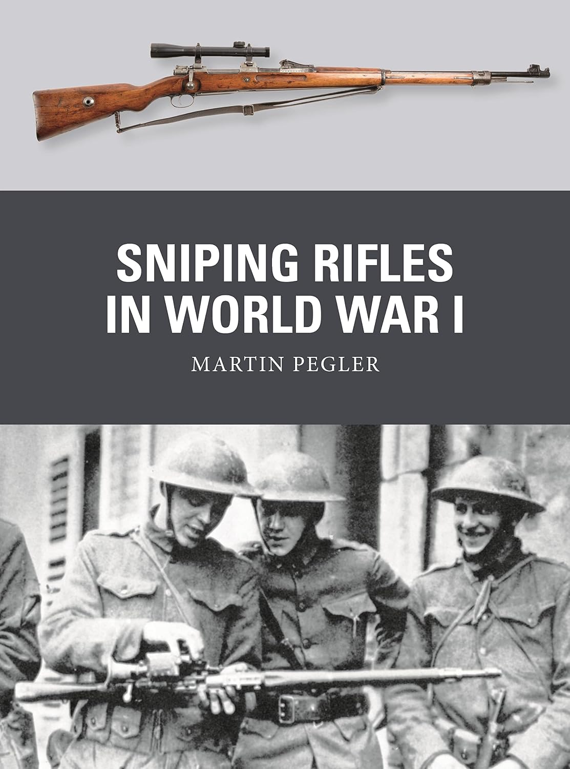 Sniping Rifles in World War I (Weapon Book 83) (English Edition) baixar o livro de graça