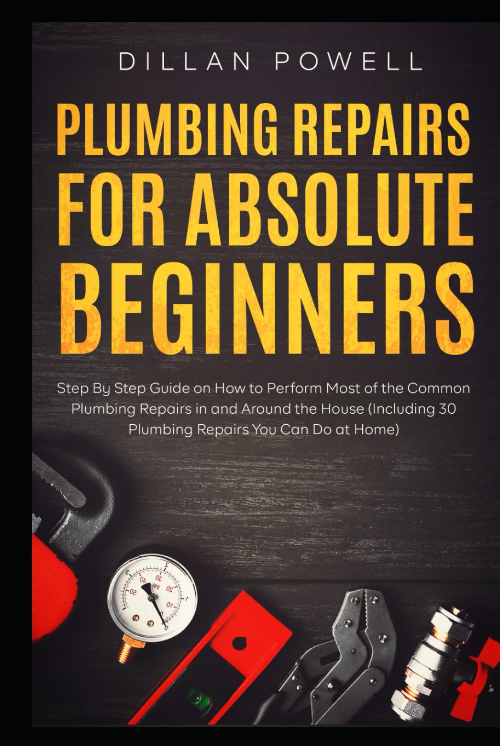Plumbing Repairs for Absolute Beginners: Step By Step Guide on How to Perform Most of the Common Plumbing Repairs in and Around the House (Including 30 Plumbing Repairs You Can Do at Home) baixar livro de graça