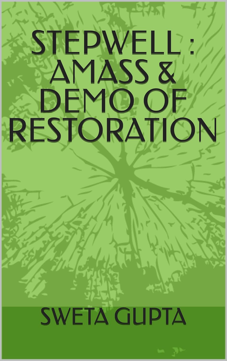 ler totalmente STEPWELL: AMASS & DEMO OF RESTORATION (English Edition)