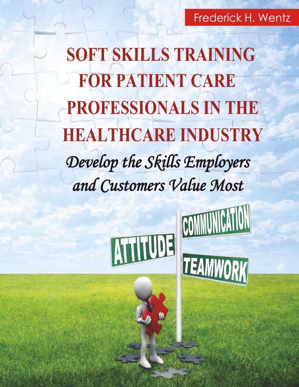 capítulo por capítulo baixar Soft Skills Training for Patient Care Professionals in the Healthcare Industry: Develop the Skills Employers and Patients Value Most