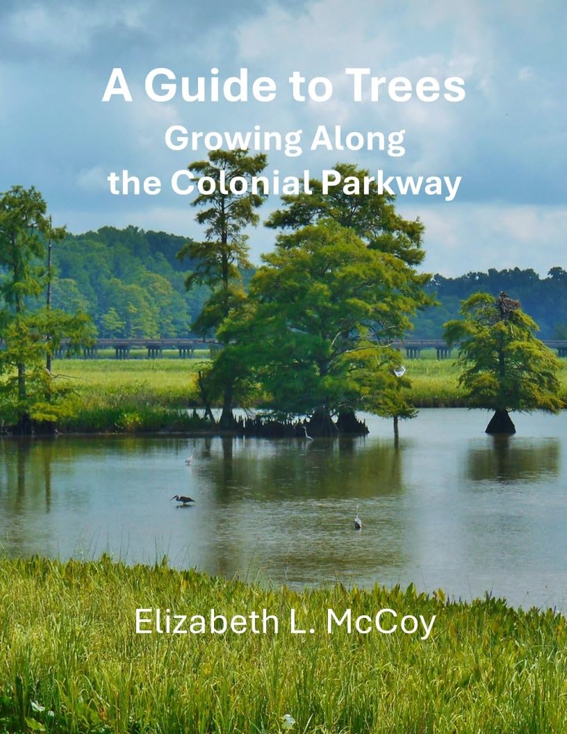 A Guide to Trees Growing Along the Colonial Parkway (English Edition)