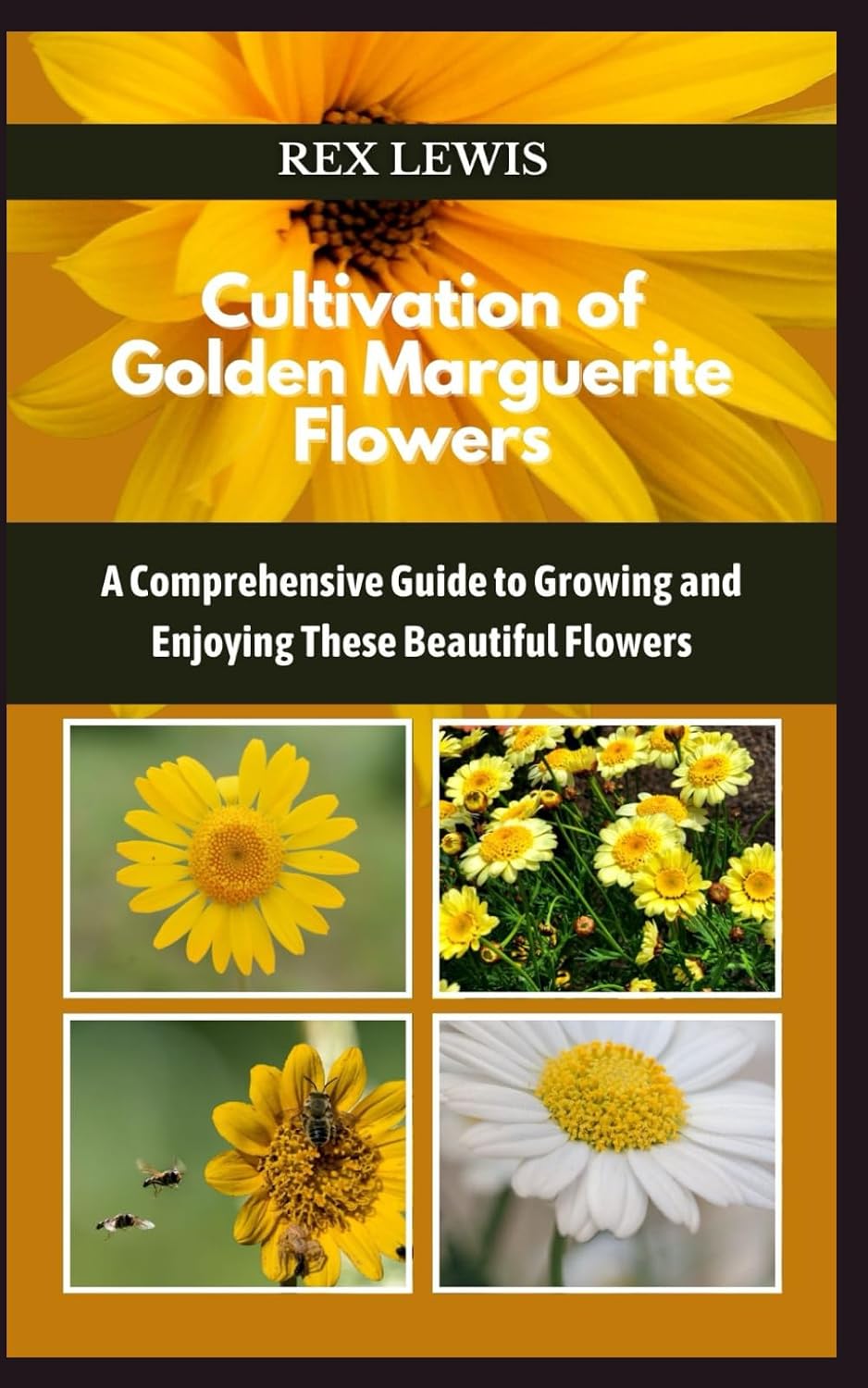 ler totalmente Cultivation of Golden Marguerite Flowers: A Comprehensive Guide to Growing and Enjoying These Beautiful Flowers