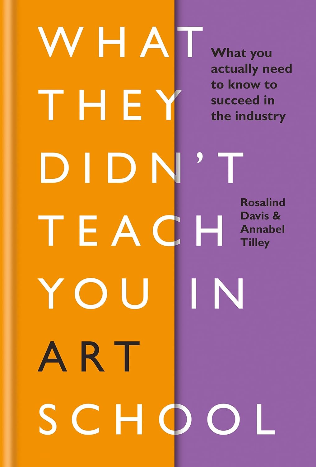 What They Didn't Teach You in Art School: What you need to know to survive as an artist (What They Didn't Teach You In School Book 3) (English Edition) baixar livro de graça
