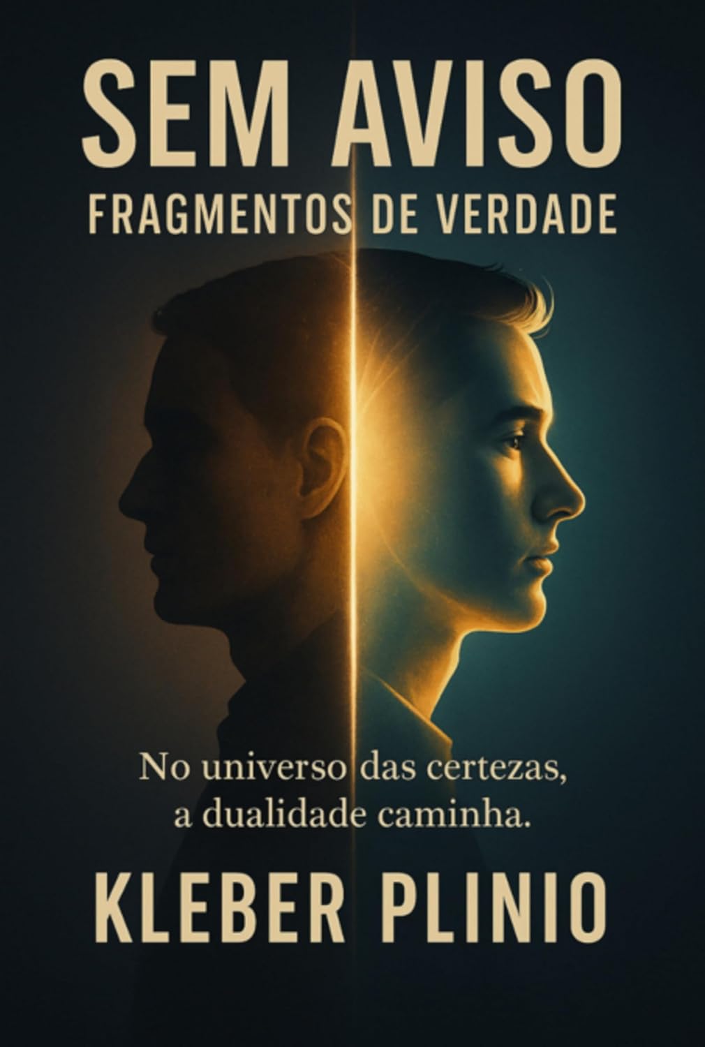 Sem Aviso baixar o livro de graça