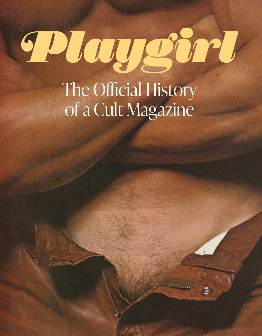 Playgirl: The Official History of a Cult Magazine baixar livro de graça