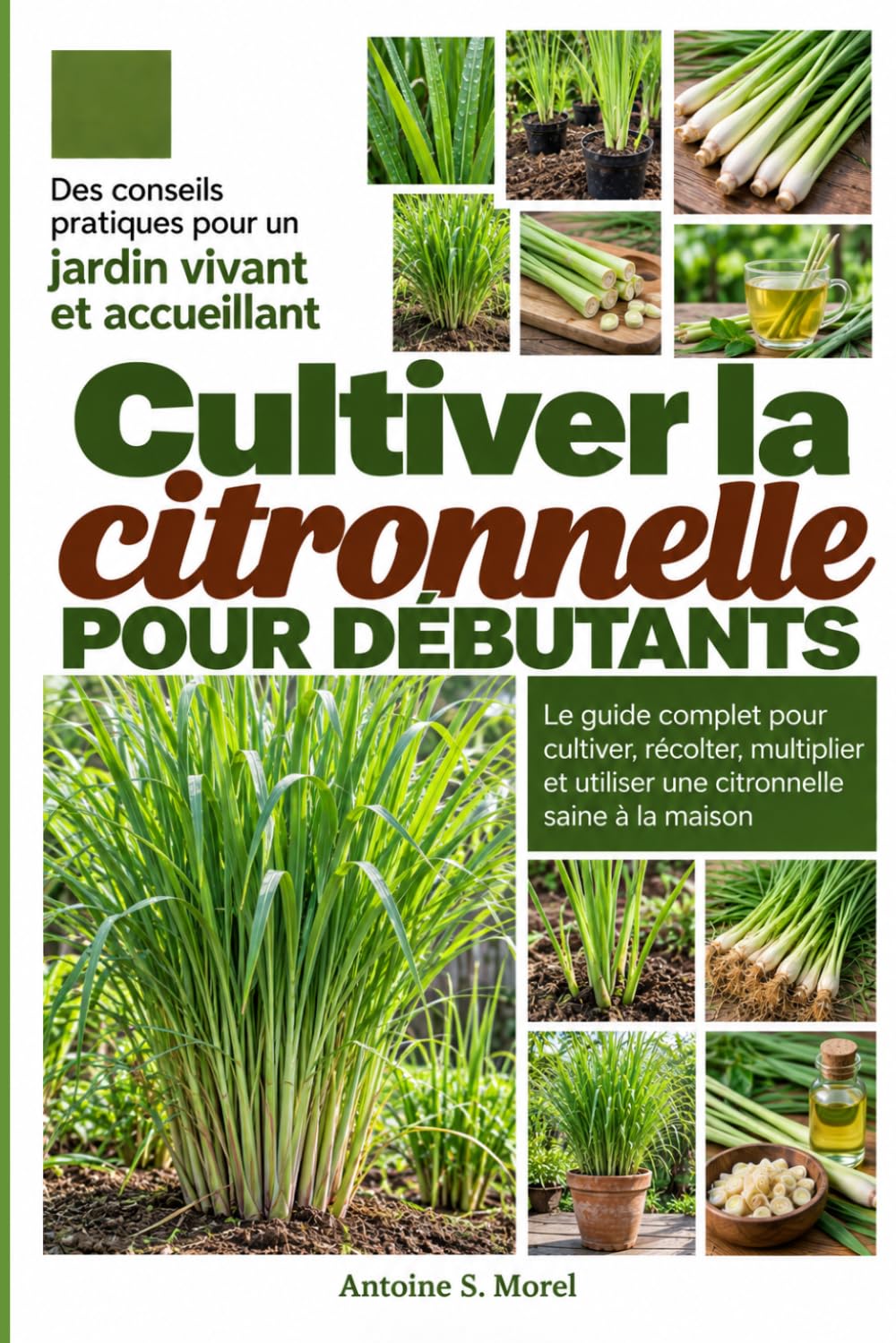 ler totalmente CULTIVER LA CITRONNELLE POUR DÉBUTANTS: Le guide complet pour cultiver, récolter, multiplier et utiliser une citronnelle saine à la maison (French Edition)