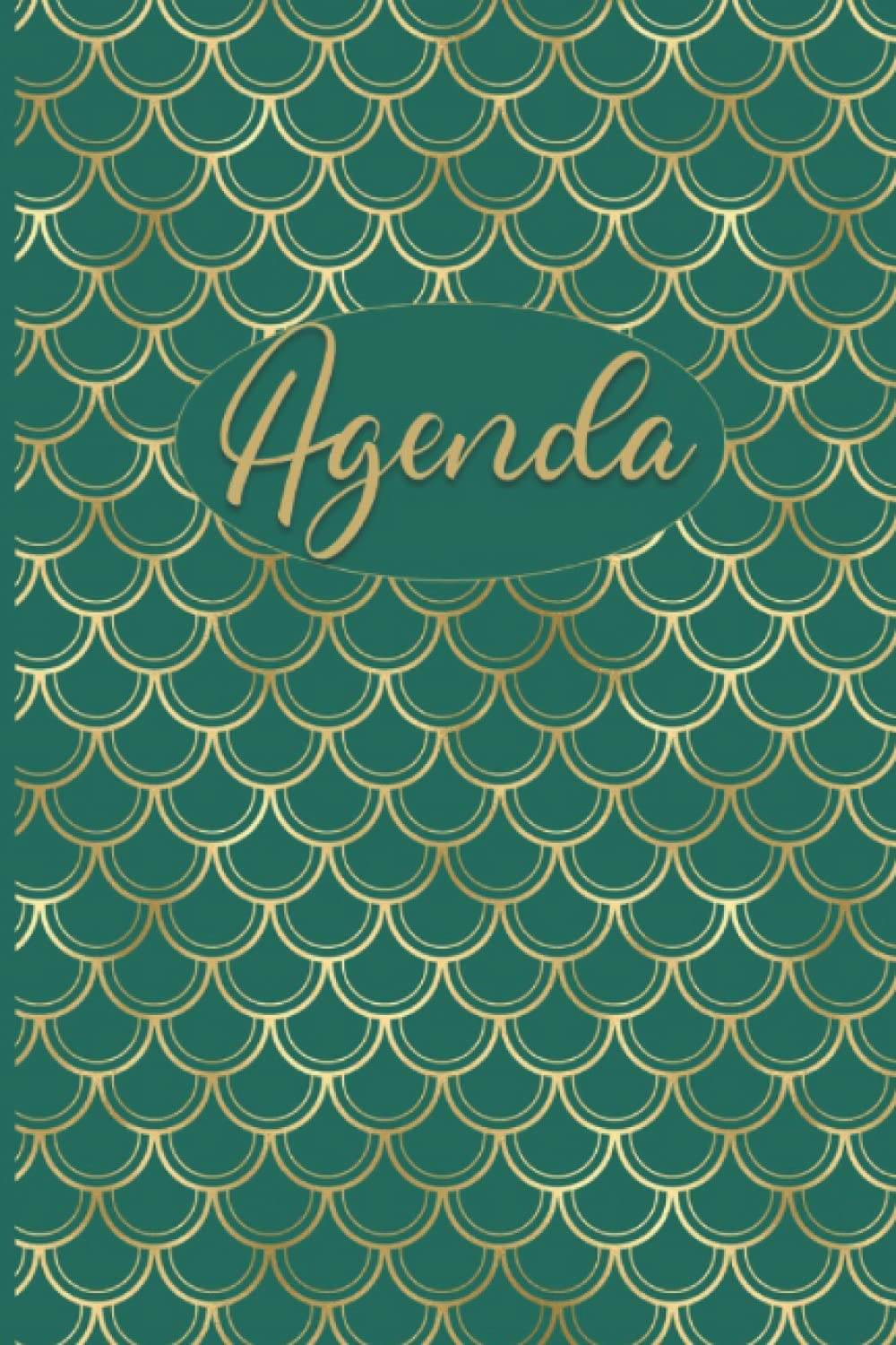 Agenda: Agenda semainier, Planificateur Hebdomadaire de taches et financier de 52 semaines sans date format 15X22 cm (French Edition) baixar livro de graça
