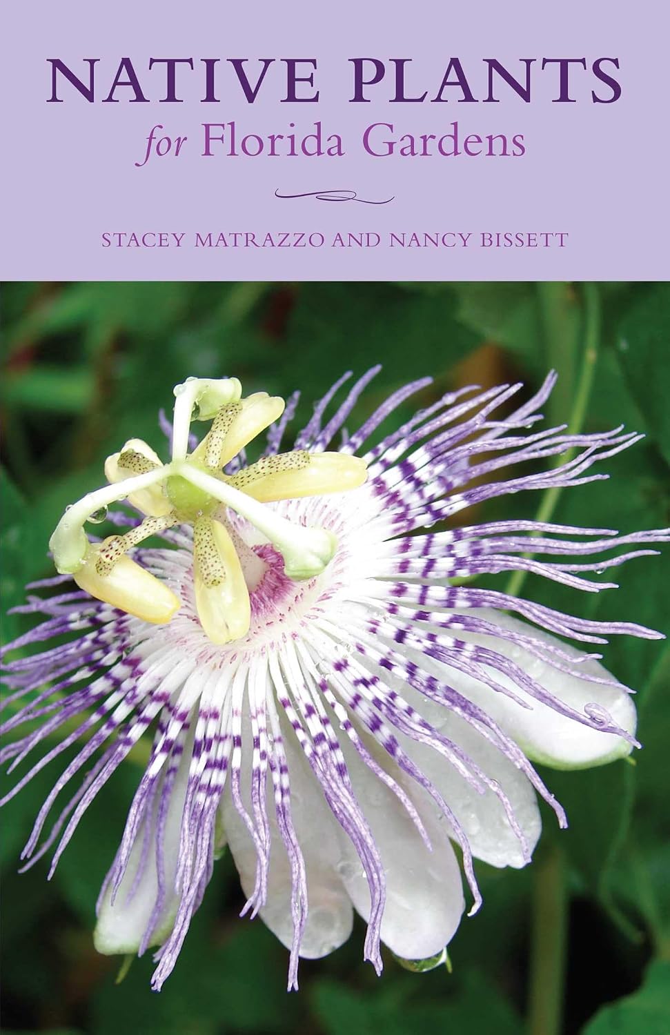 Native Plants for Florida Gardens (English Edition) baixar o livro de graça