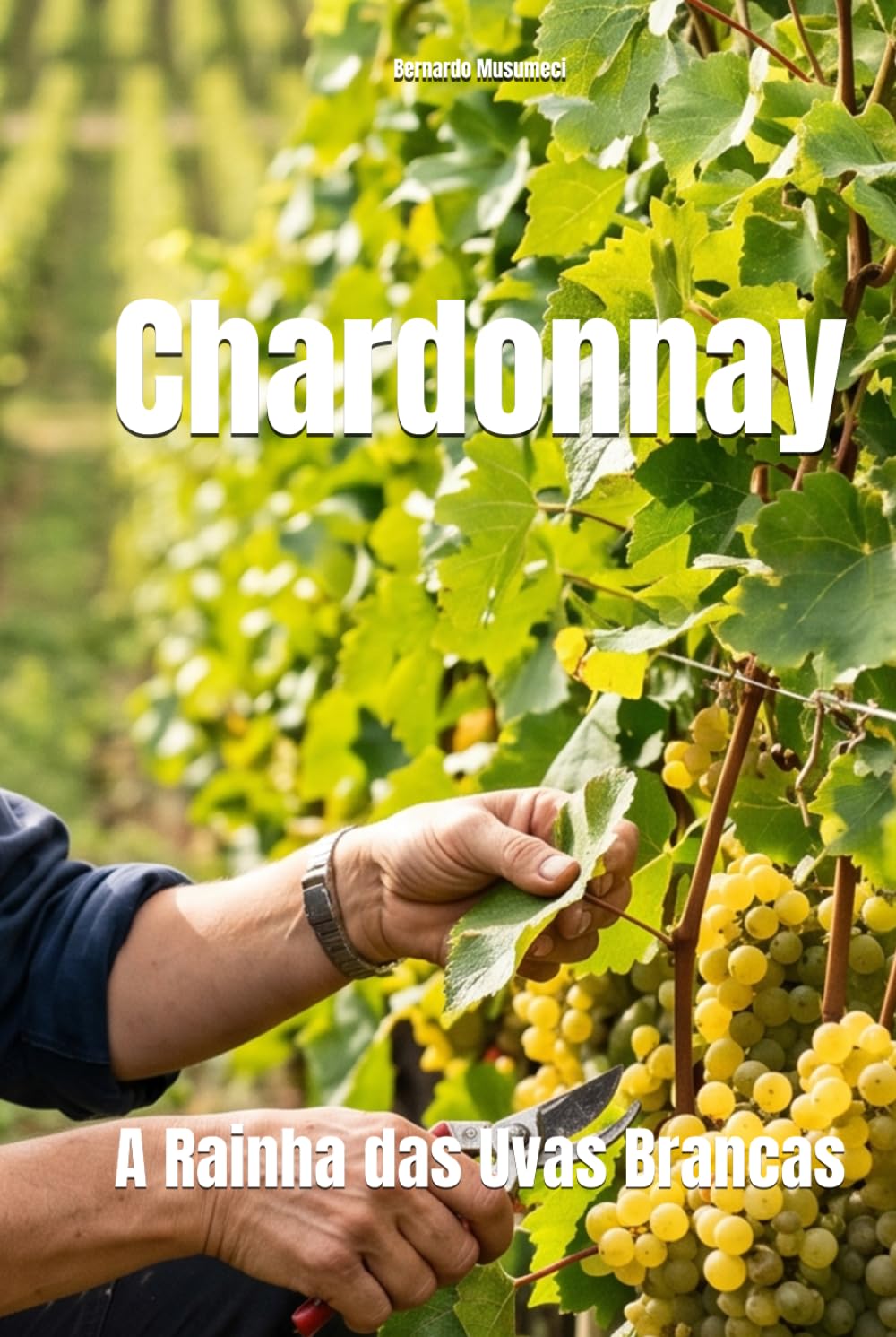 Chardonnay: A Rainha das Uvas Brancas (Wines of the World: France) (Portuguese Edition)