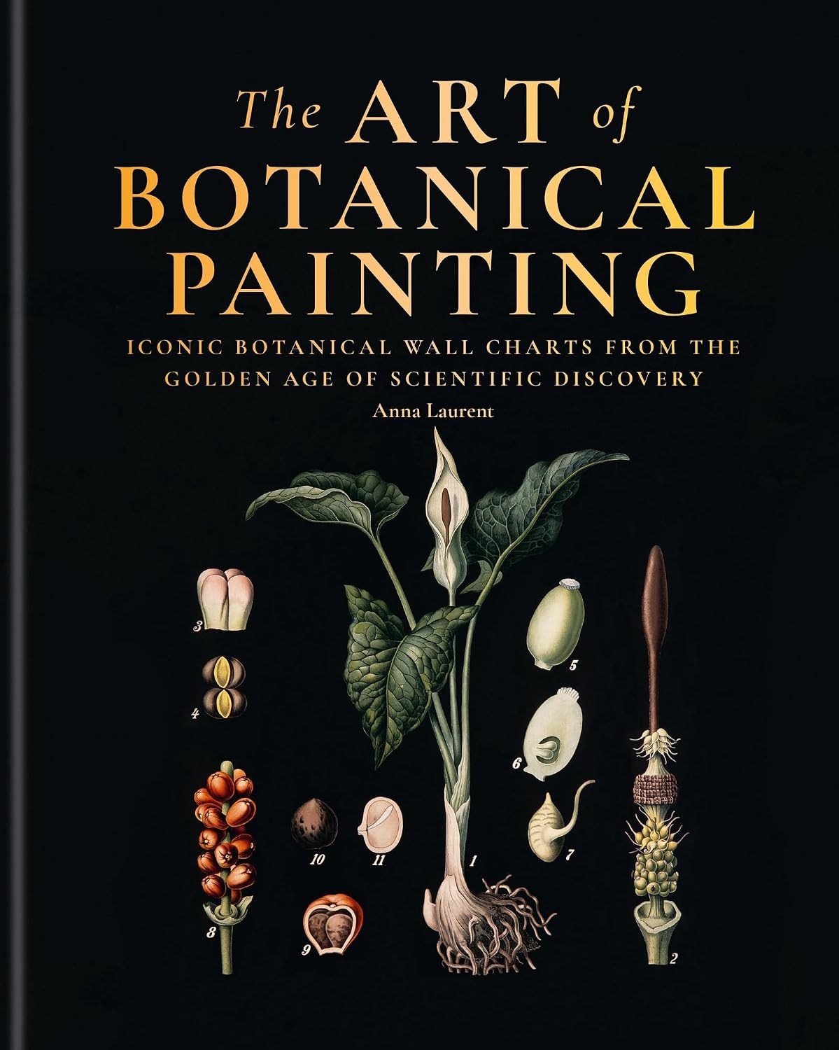 capítulo por capítulo baixar The Art of Botanical Painting: Art from the golden age of scientific discovery (English Edition)