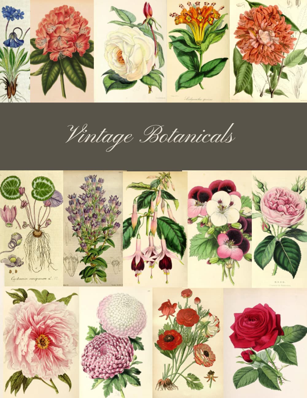 capítulo por capítulo baixar Vintage Botanicals: A Beautiful Botany Collection for Junk Journals, Collage, Card Making and Many Paper Crafts