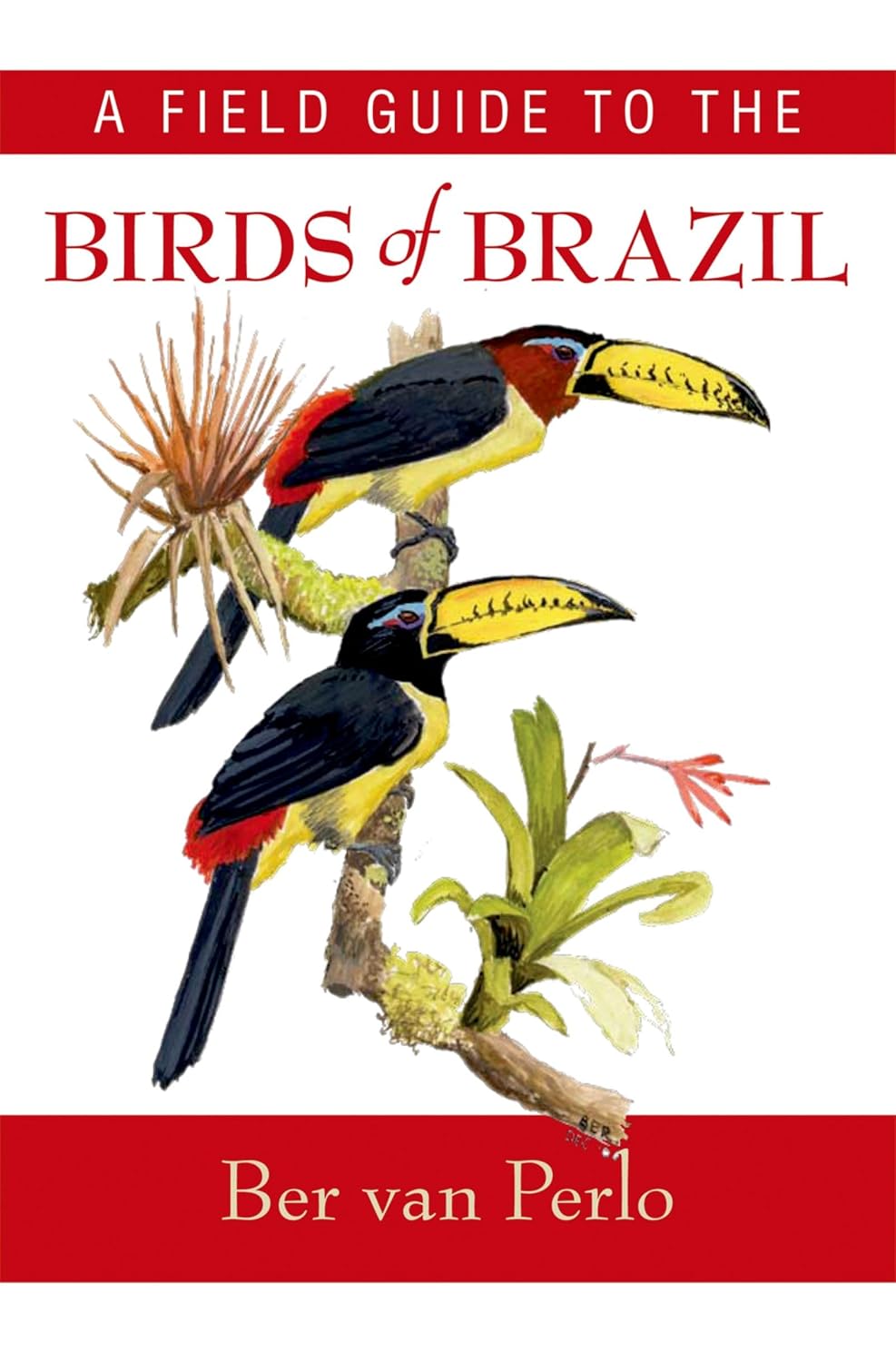 A Field Guide to the Birds of Brazil baixar livro de graça
