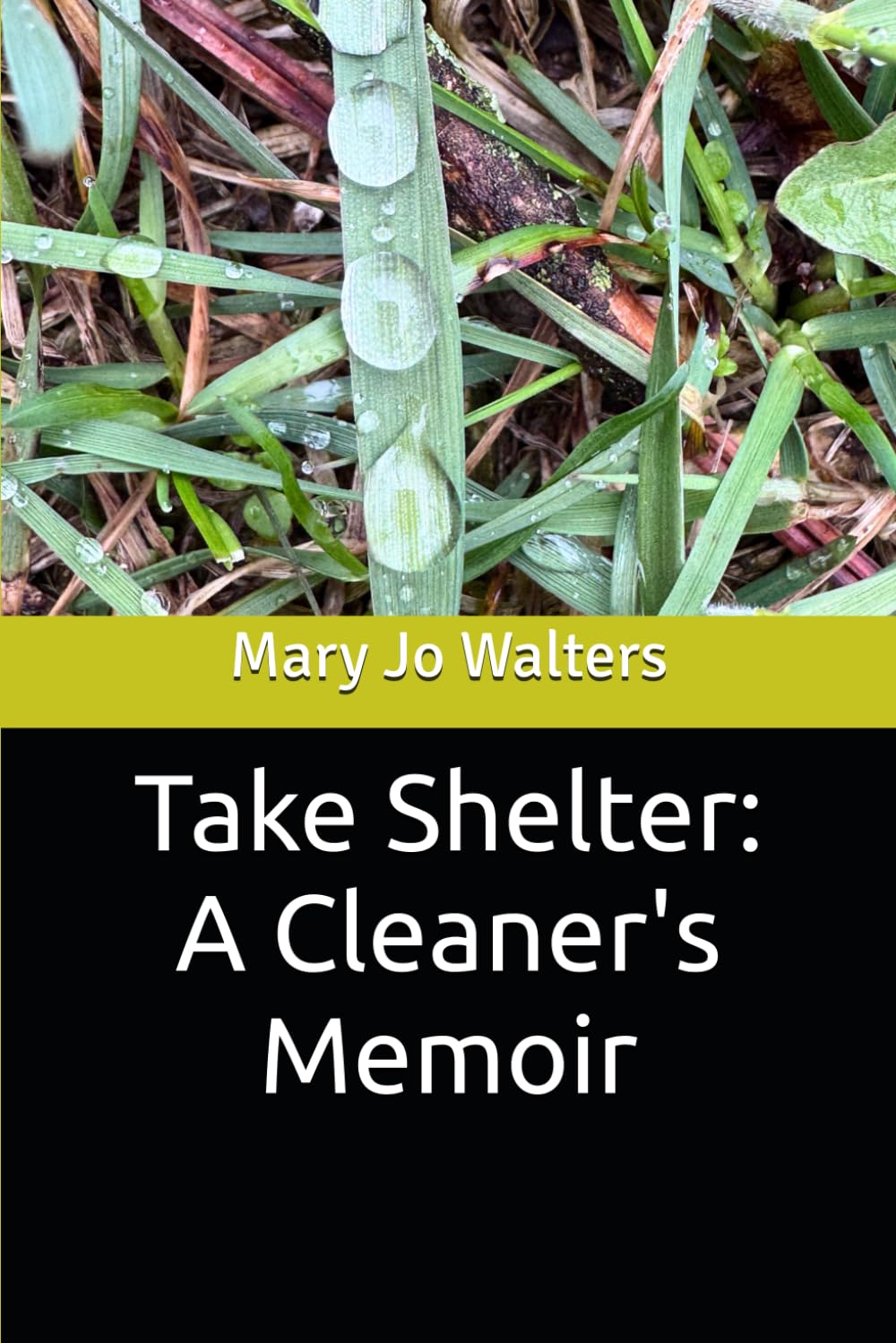 Take Shelter: A Cleaner's Memoir baixar o livro de graça