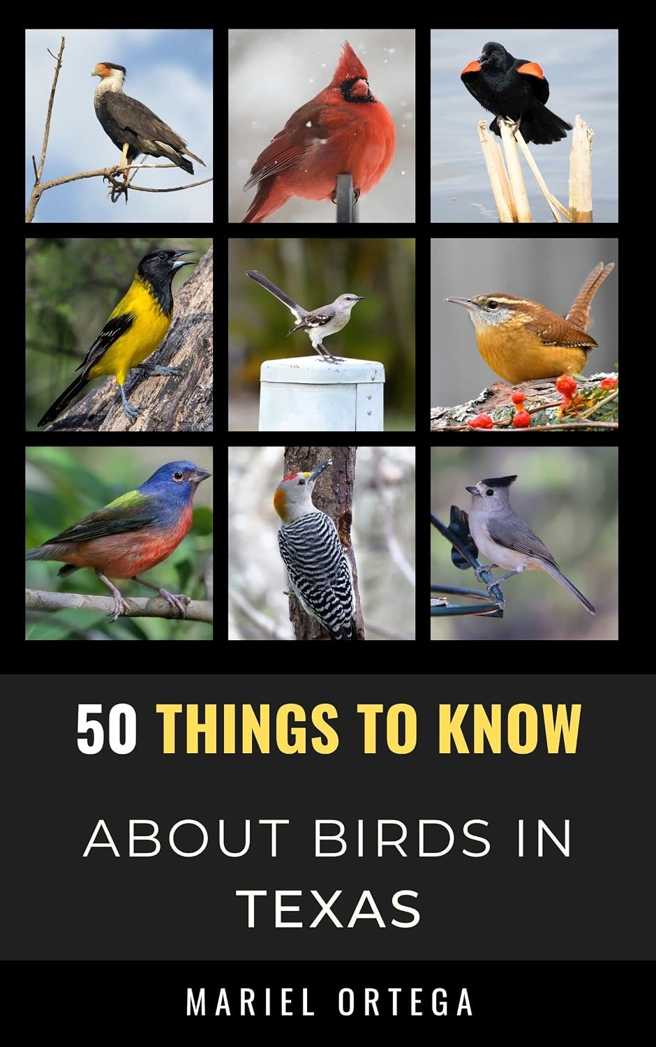 ler totalmente 50 Things to Know About Birds in Texas: Birdwatching Guide, Bird Identification, Local Species, Nature Facts, Backyard Birds, & Wildlife (50 Things to... and regional bird books) (English Edition)