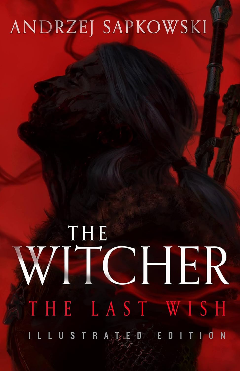 The Last Wish: Illustrated Edition: 1