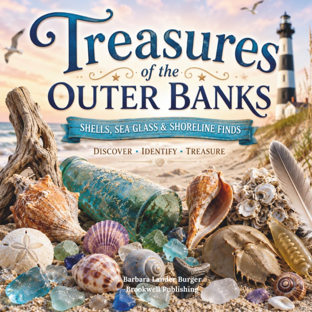 capítulo por capítulo baixar Treasures of the Outer Banks: Shells, Sea Glass & Shoreline Finds
