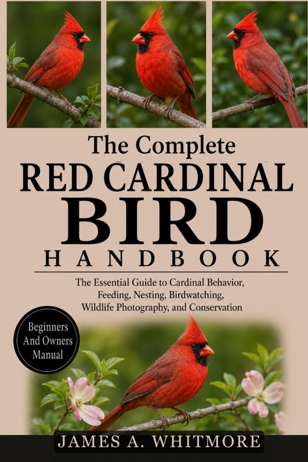 THE COMPLETE RED CARDINAL BIRD HANDBOOK: The Essential Guide to Cardinal Behavior, Feeding, Nesting, Birdwatching, Wildlife Photography, and Conservation baixar o livro de graça