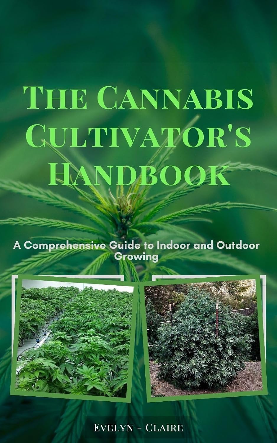 The Cannabis Cultivator's Handbook: A Comprehensive Guide to Indoor and Outdoor Growing (English Edition) baixar livro de graça