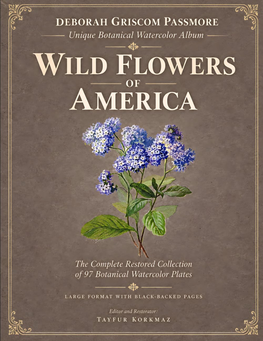 Deborah Griscom Passmore Unique Botanical Watercolor Album, WILD FLOWERS OF AMERICA (1911) - The Complete Restored Collection of 97 Botanical Watercolor Plates - Large Format with Black-Backed Pages baixar o livro de graça