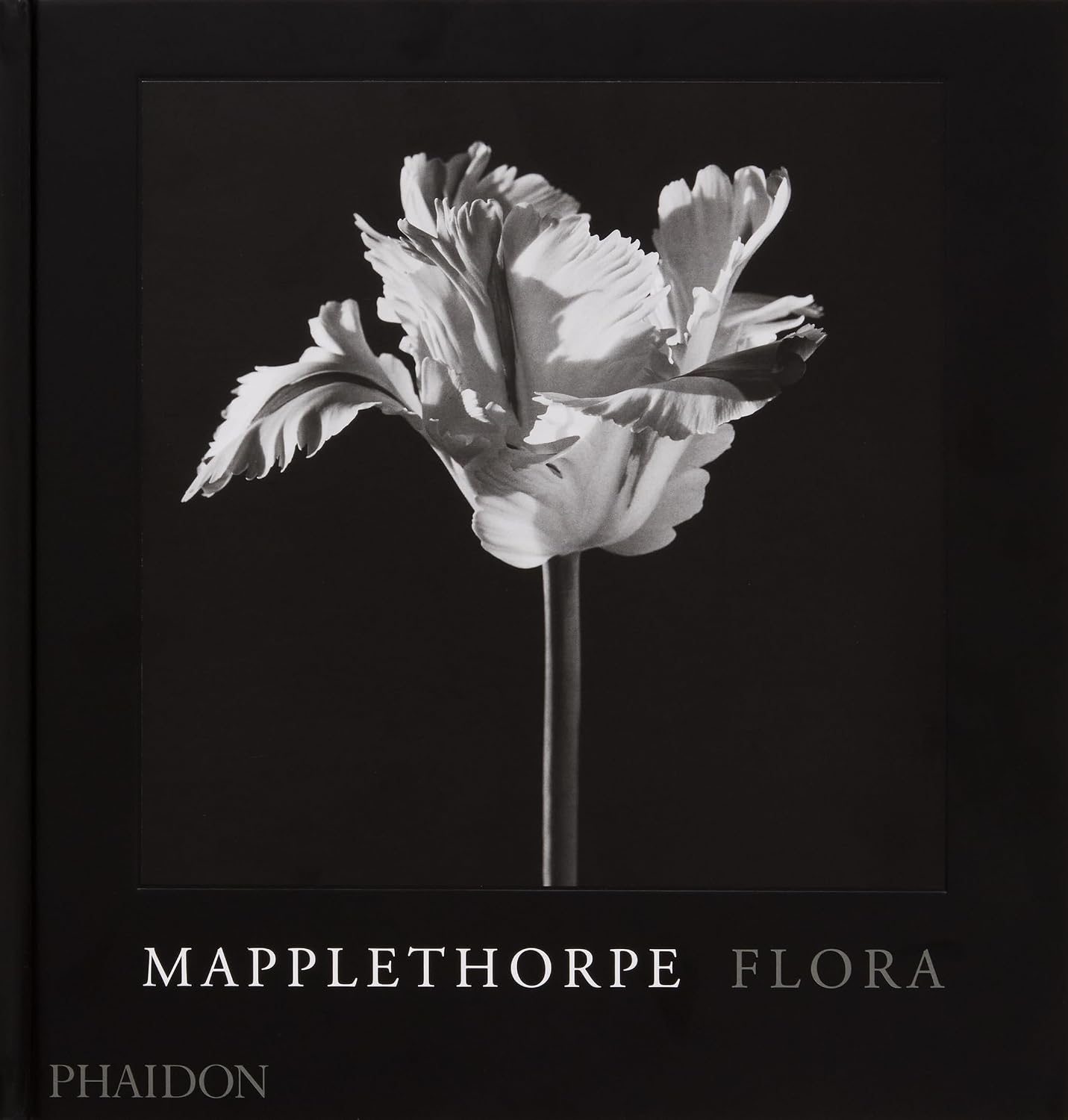 Mapplethorpe Flora: The Complete Flowers baixar o livro de graça