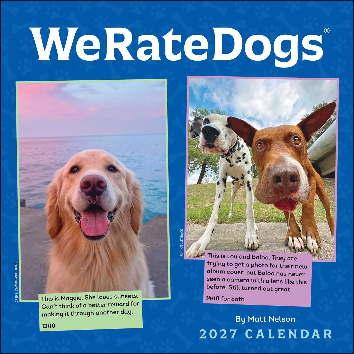 ler totalmente Weratedogs 2027 Wall Calendar