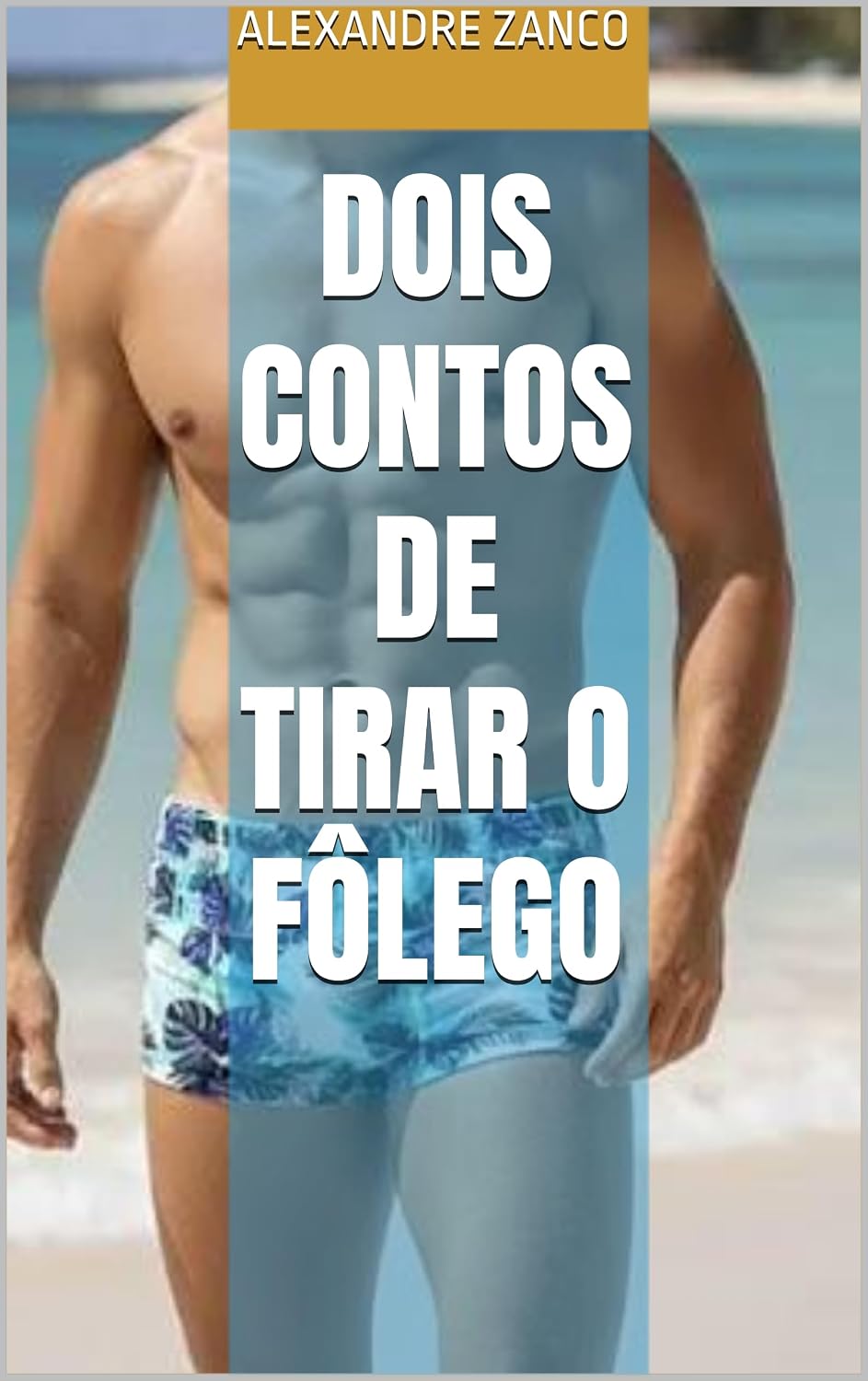 Dois contos de tirar o fôlego baixar livro de graça