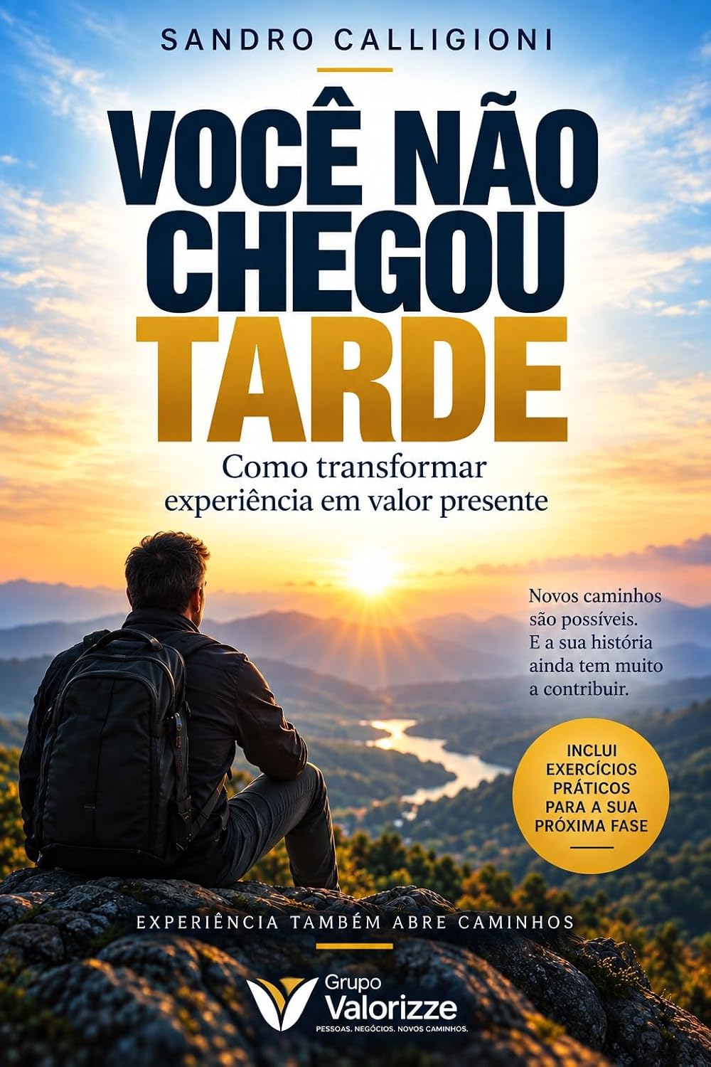 VOCÊ NÃO CHEGOU TARDE: Como transformar experiência em valor, continuar relevante e construir uma nova fase profissional baixar o livro de graça