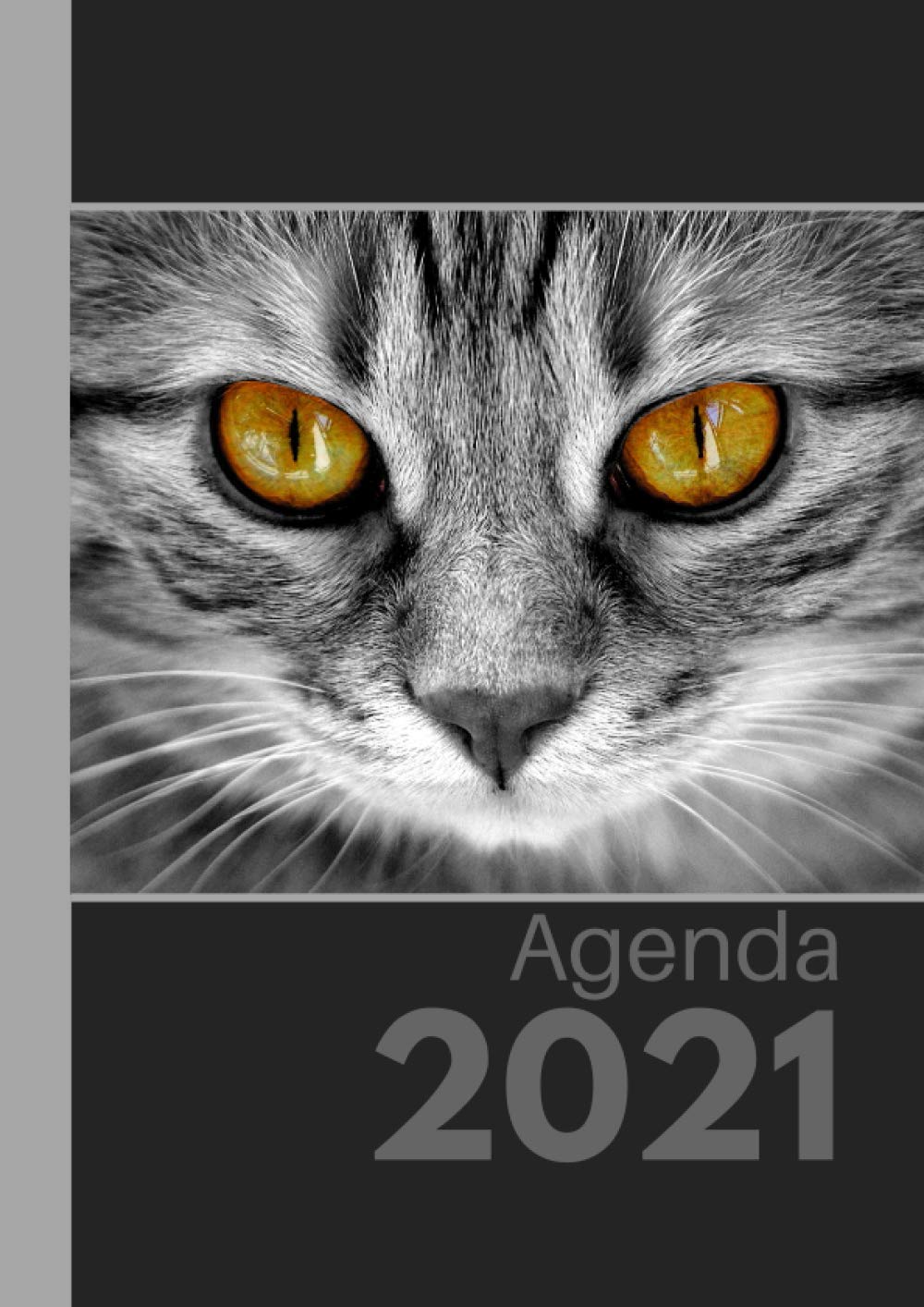ler totalmente Agenda 2021: Agenda annuel format XL (A4 21 x 29,7cm) | Semainier de janvier à décembre pratique | De l'espace pour noter vos projets, vos missions, chat gris tigré hypnotiques (French Edition)