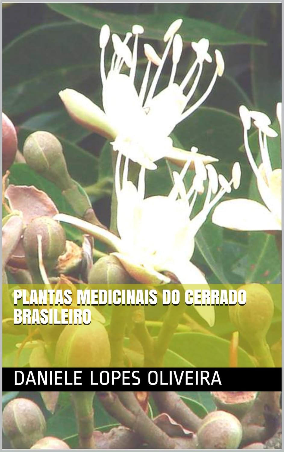 PLANTAS MEDICINAIS DO CERRADO BRASILEIRO (1) baixar livro de graça