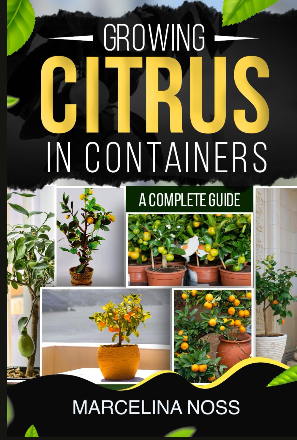 GROWING CITRUS IN A CONTAINER: A COMPLETE GUIDE baixar o livro de graça