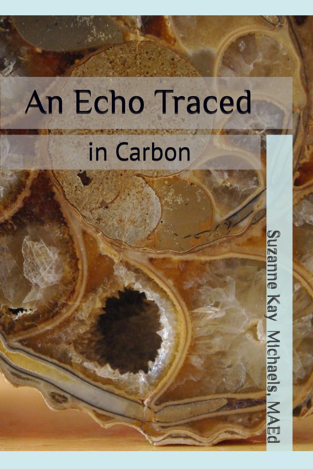 An Echo Traced in Carbon baixar o livro de graça