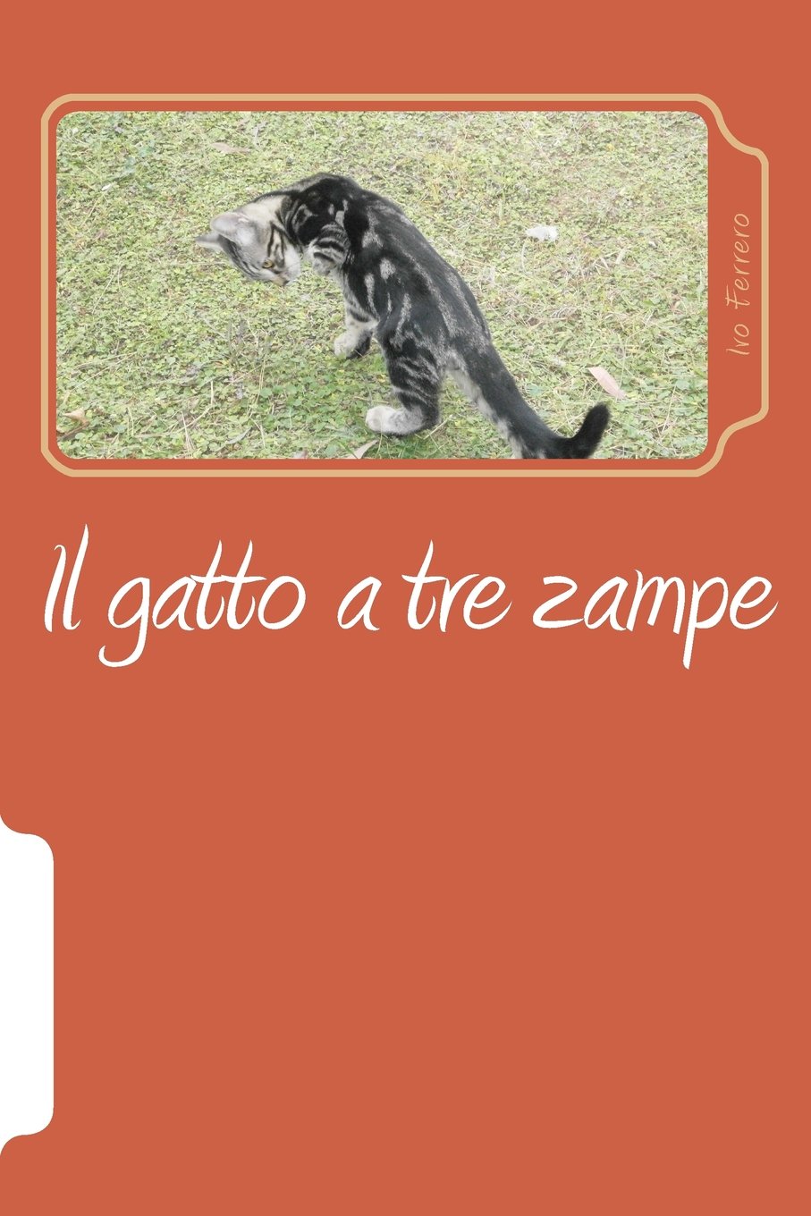ler totalmente Il gatto a tre zampe: La mia vita con i gatti